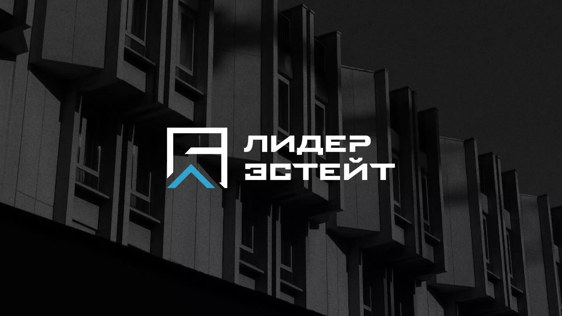 Разработка логотипа агентства недвижимости «Лидер Эстейт» в Сосногорске